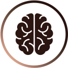 brain icon